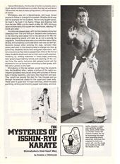 The Mysteries of Isshin-Ryu